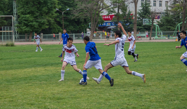 其特质契合 其特质契合