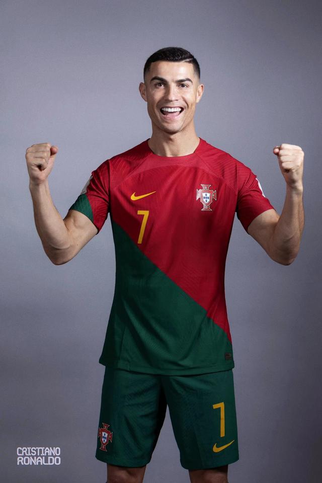 的卓越技能 的卓越技能